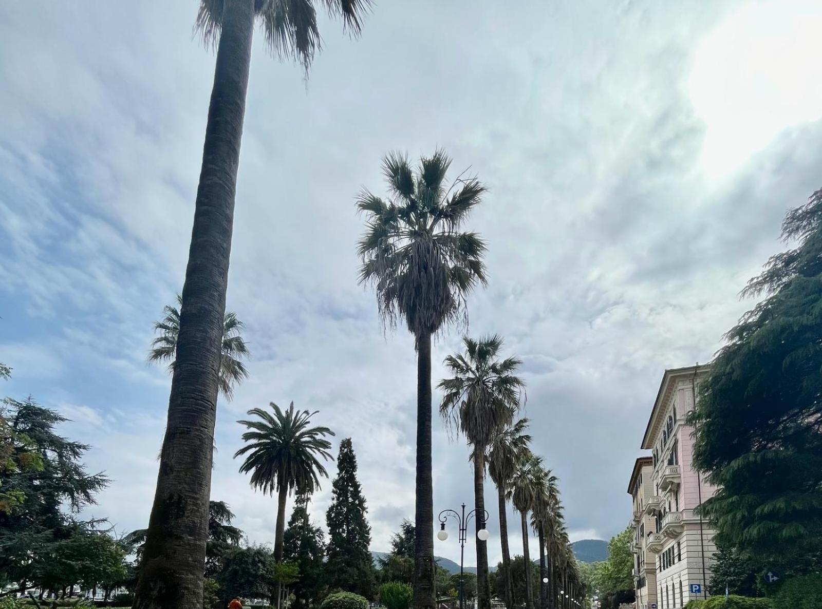 Breathe Liguria - Lucy 1 Bedroom And 1 Apartment In A Newly Renovated Nineteenth-Century Building In The Historic Center Near The Sea La Spezia Luaran gambar